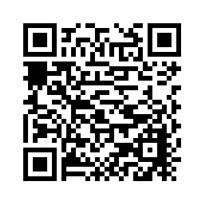 apkpure官方中文下载,快速设计响应计划_WP_v9.231