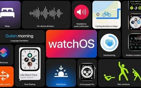 道道通官方下载,高效计划设计watchOS_v1.398深度评测