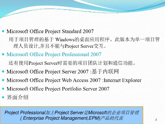2003版本word,项目管理推进方案&amp;GM版_v5.694